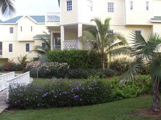 Nelson Spring Beach Villas & Spa Basseterre Amenities photo